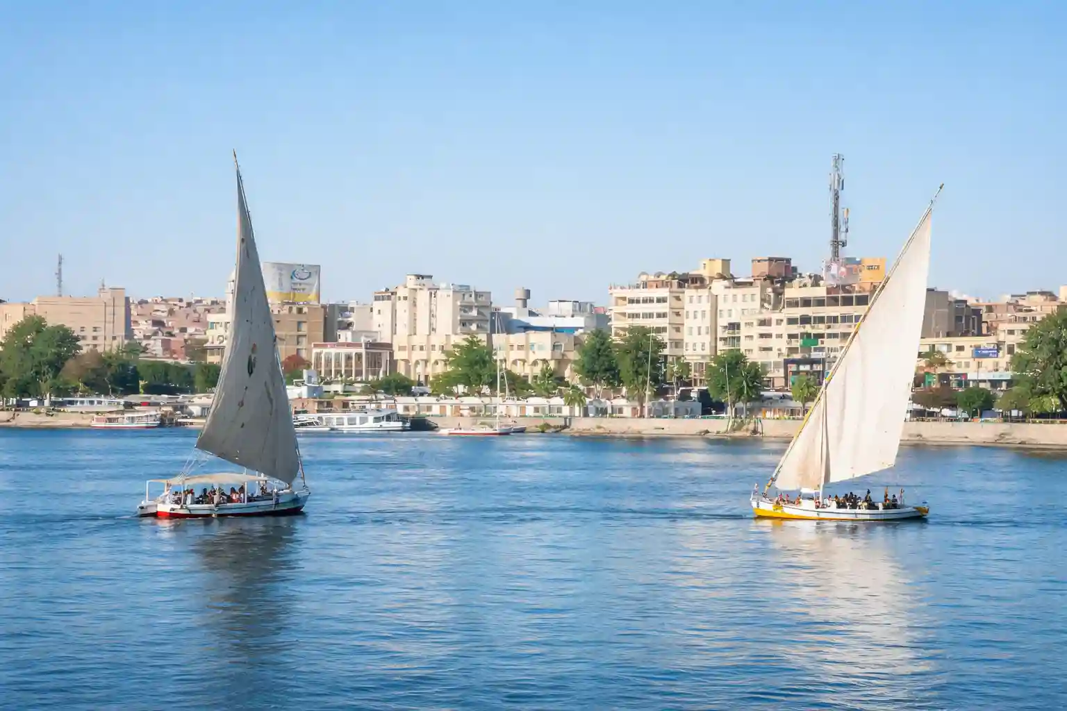 Egypt birth registration complex cases — documentary alignment for overseas families