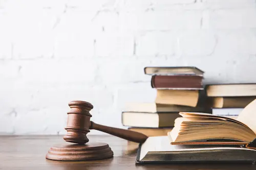 FPR Part 25 Egyptian Law Expert Evidence for family court proceedings