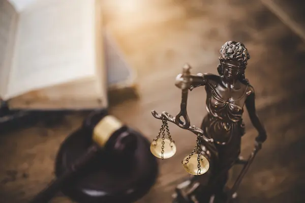 Egyptian Legal Services for complex birth registration cases in Egypt